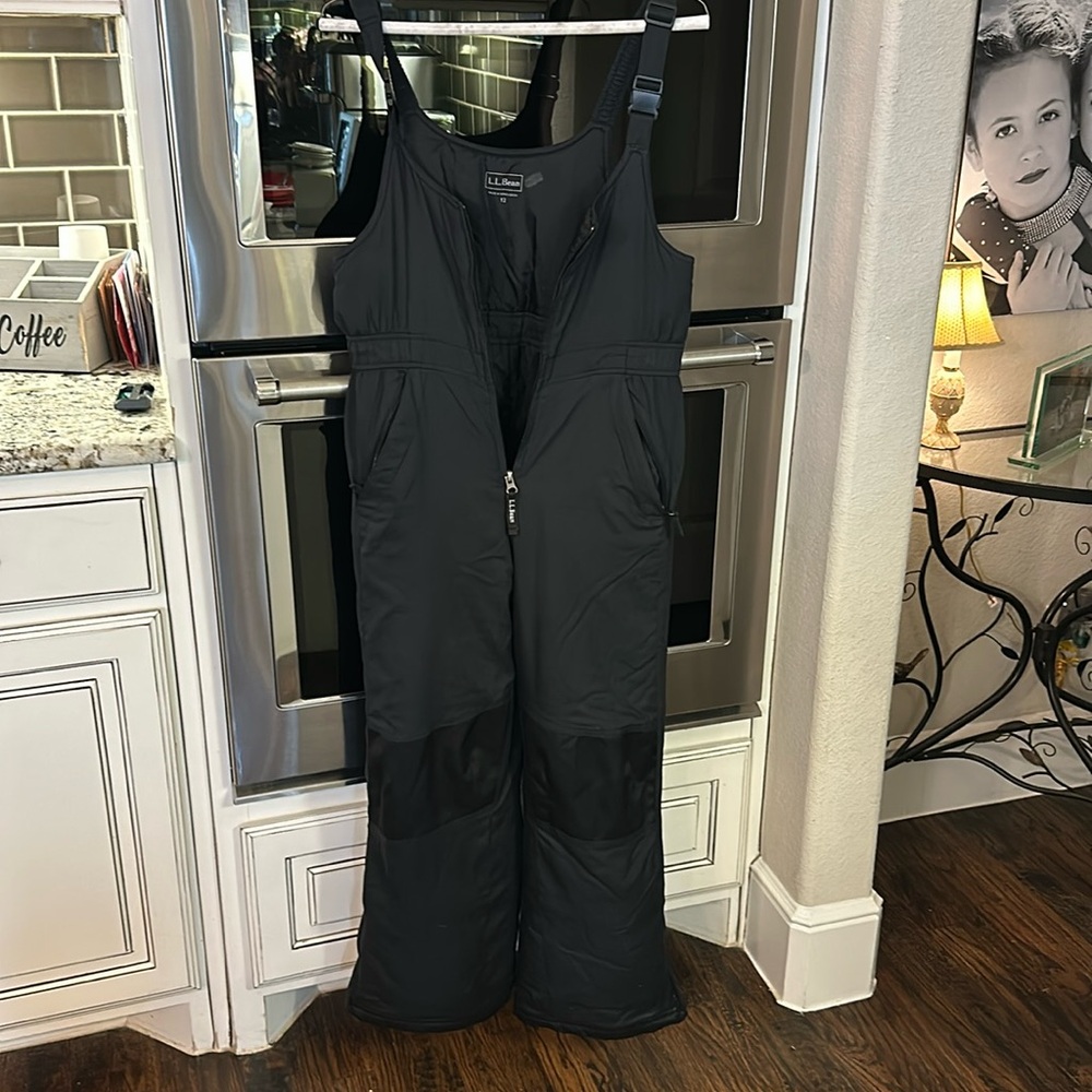 Kids ski snow bib.